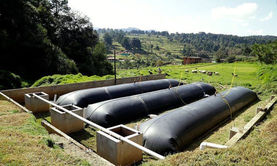 biodigestores